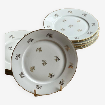 Assiettes en porcelaine dure et nouvelle de Sologne Lamotte