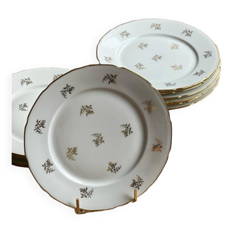 Assiettes en porcelaine dure et nouvelle de Sologne Lamotte