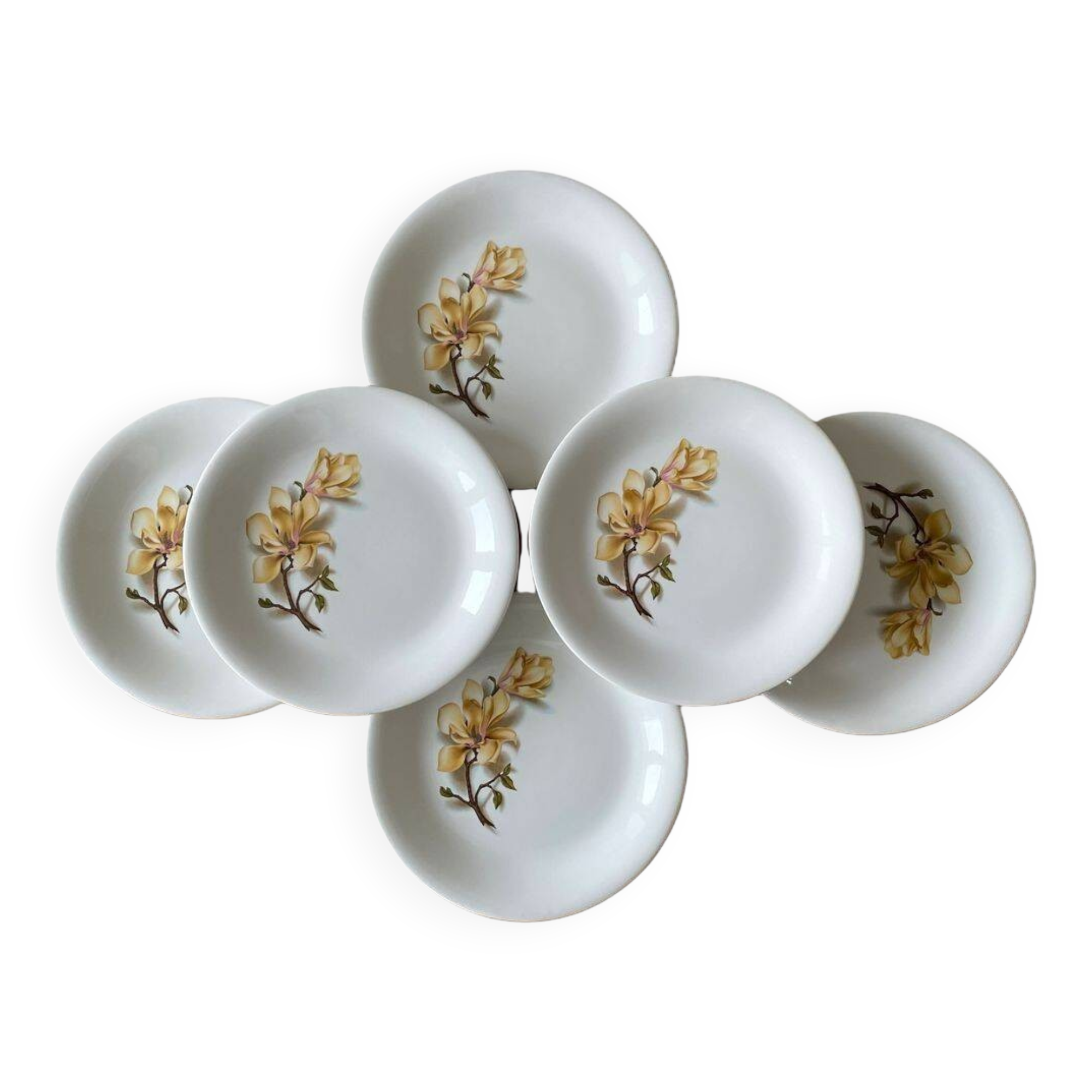 6 antique flat plates in Saint-Amand earthenware (Nord)