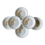 6 antique flat plates in Saint-Amand earthenware (Nord)