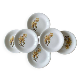 6 antique flat plates in Saint-Amand earthenware (Nord)