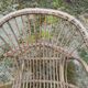Rattan armchair with armrest