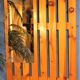 "Planches" wall coat holder 1980s