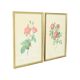 Vintage sixties roses framed botanical print cards p.j. redoute 42x32cm