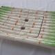 Large asparagus dish in Niderviller slip