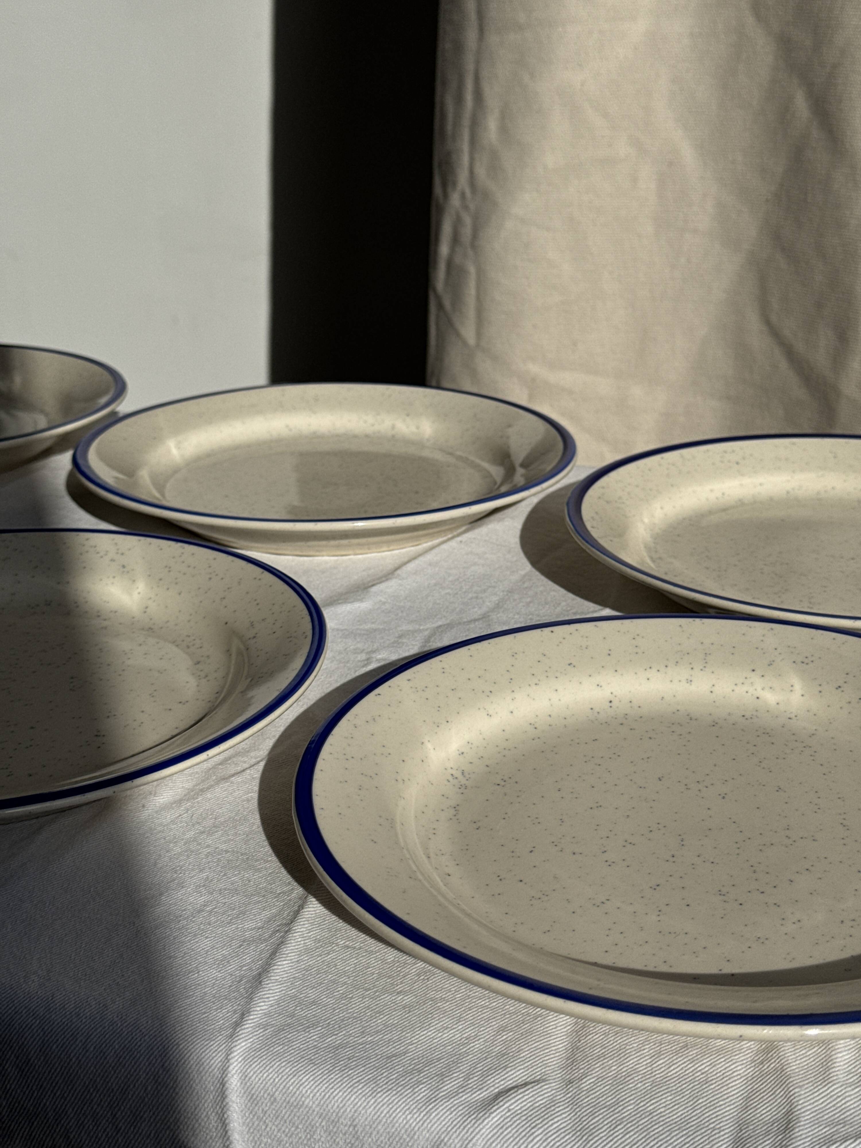 Set consisting of 6 beige flat plates with a blue rim + 3 deep plates.