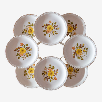 8 old dessert plates Digoin & Sarreguemines