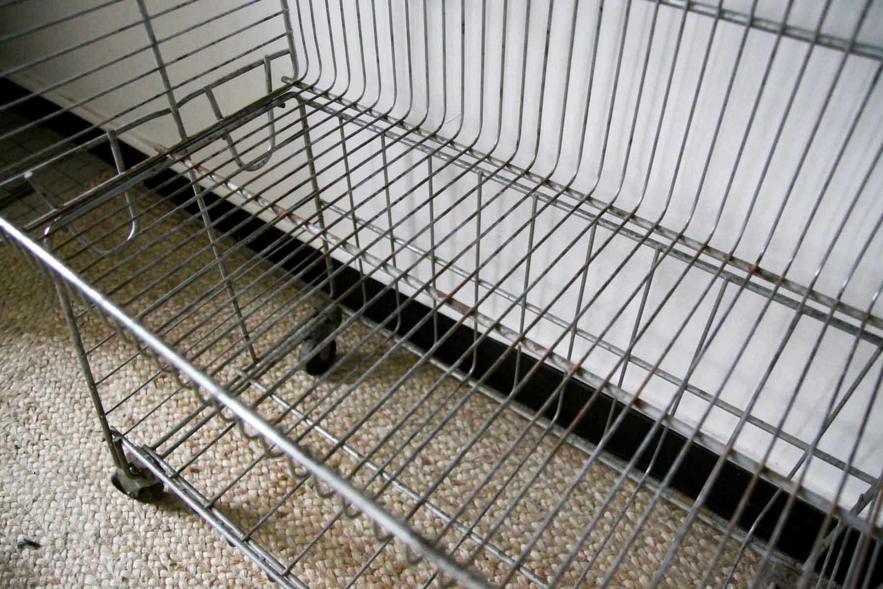 Vintage grocery shelf