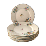 6 flat flowery plates in Limoges porcelain