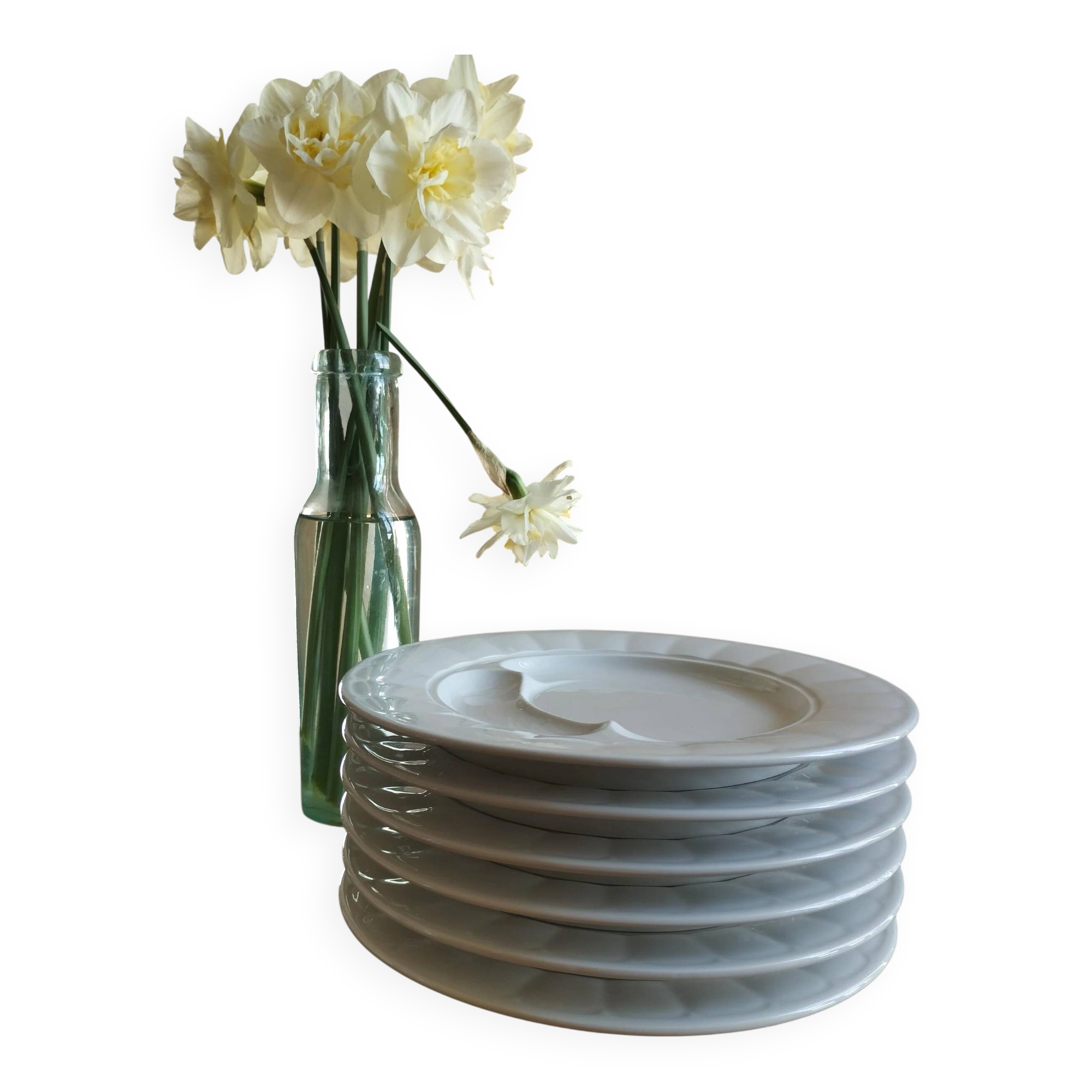 6 artichoke plates in Pillivuyt porcelain