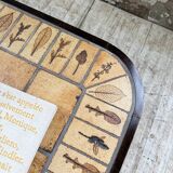 Capron “herbarium” oval coffee table