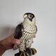 Ceramic Peregrine Falcon Lisa Larson Gustavsberg Studio Limited Edition