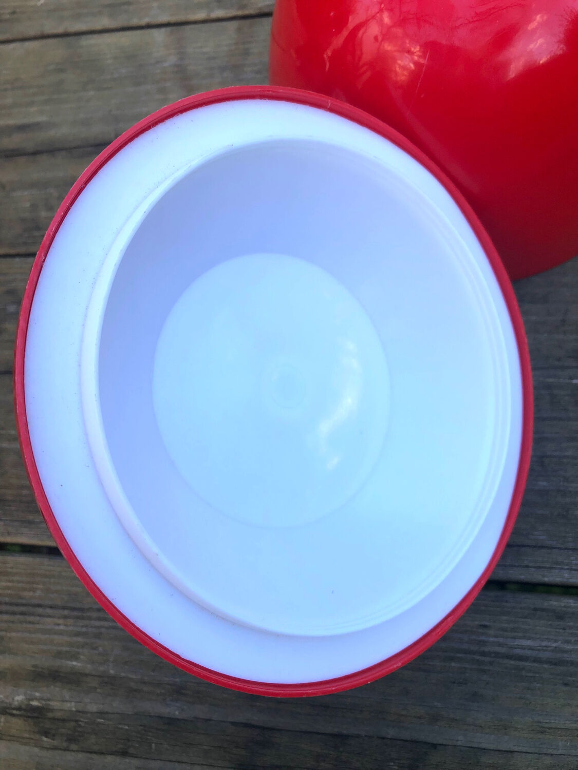 Vintage ice cube apple