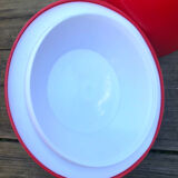 Vintage ice cube apple