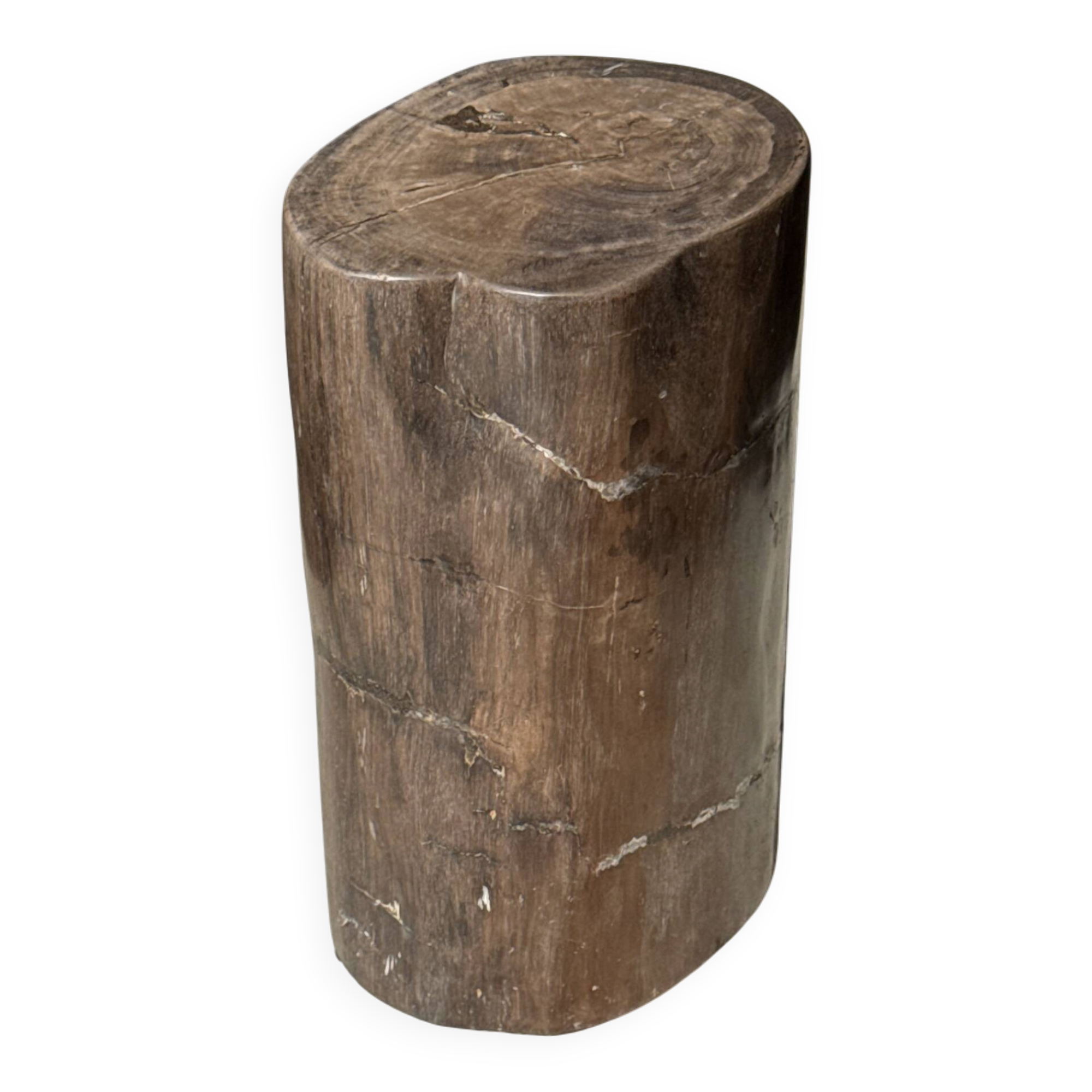 Table d'appoint en bois pétrifié brune H46 D29 - 3338