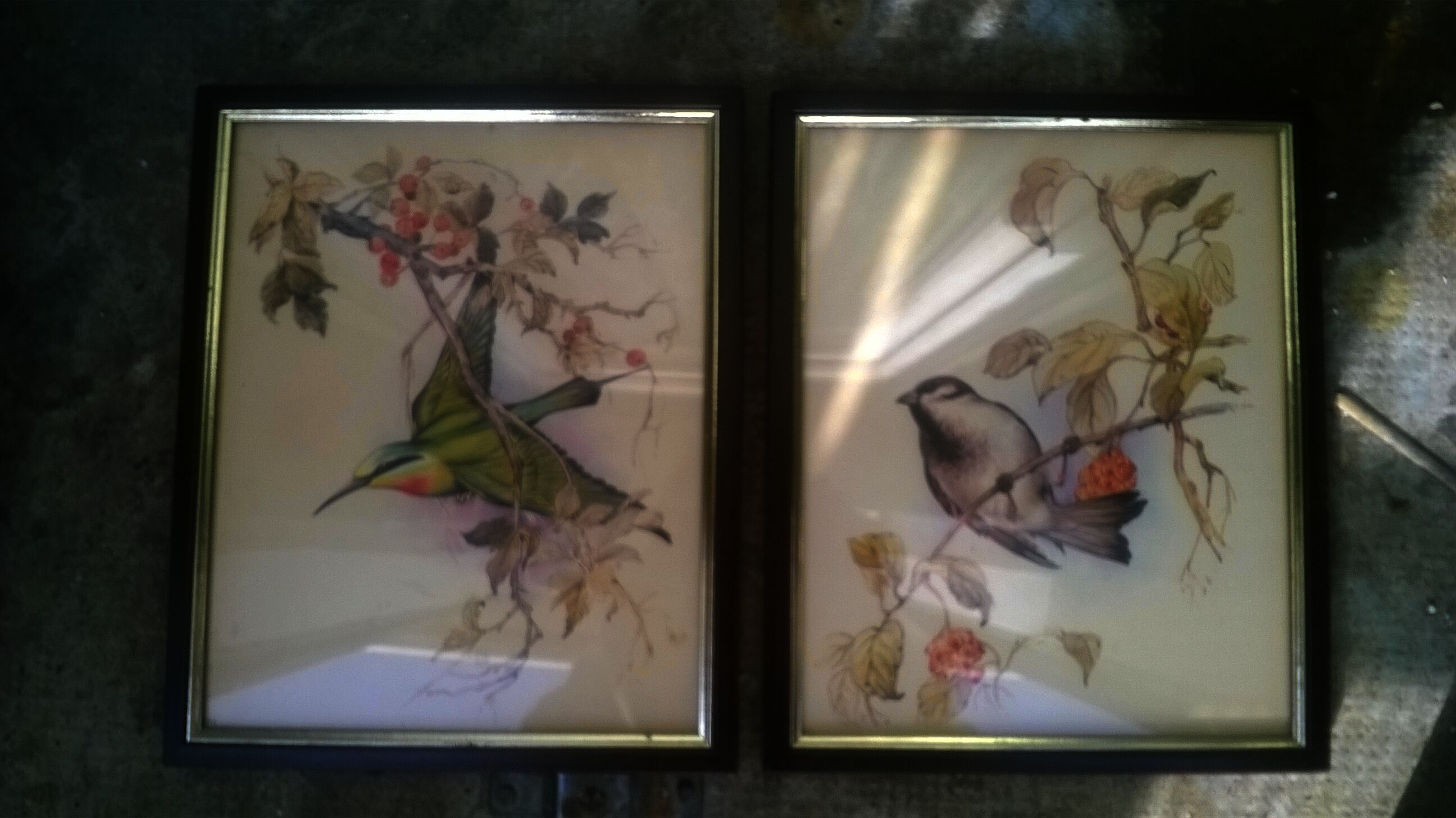 Paire de gravures "aux oiseaux"