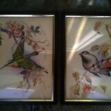 Paire de gravures "aux oiseaux"