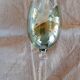 Set de 6 verres couleur