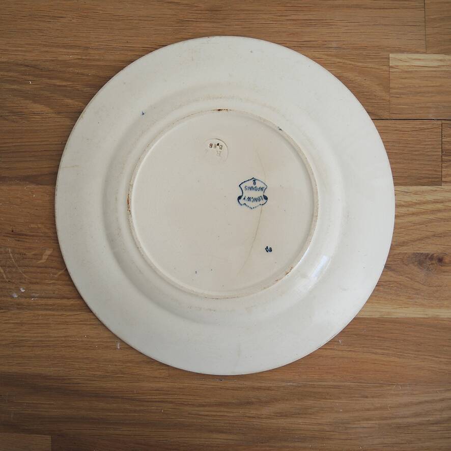 Ancienne assiette faisan en céramique de Longwy