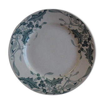 Collectible plate