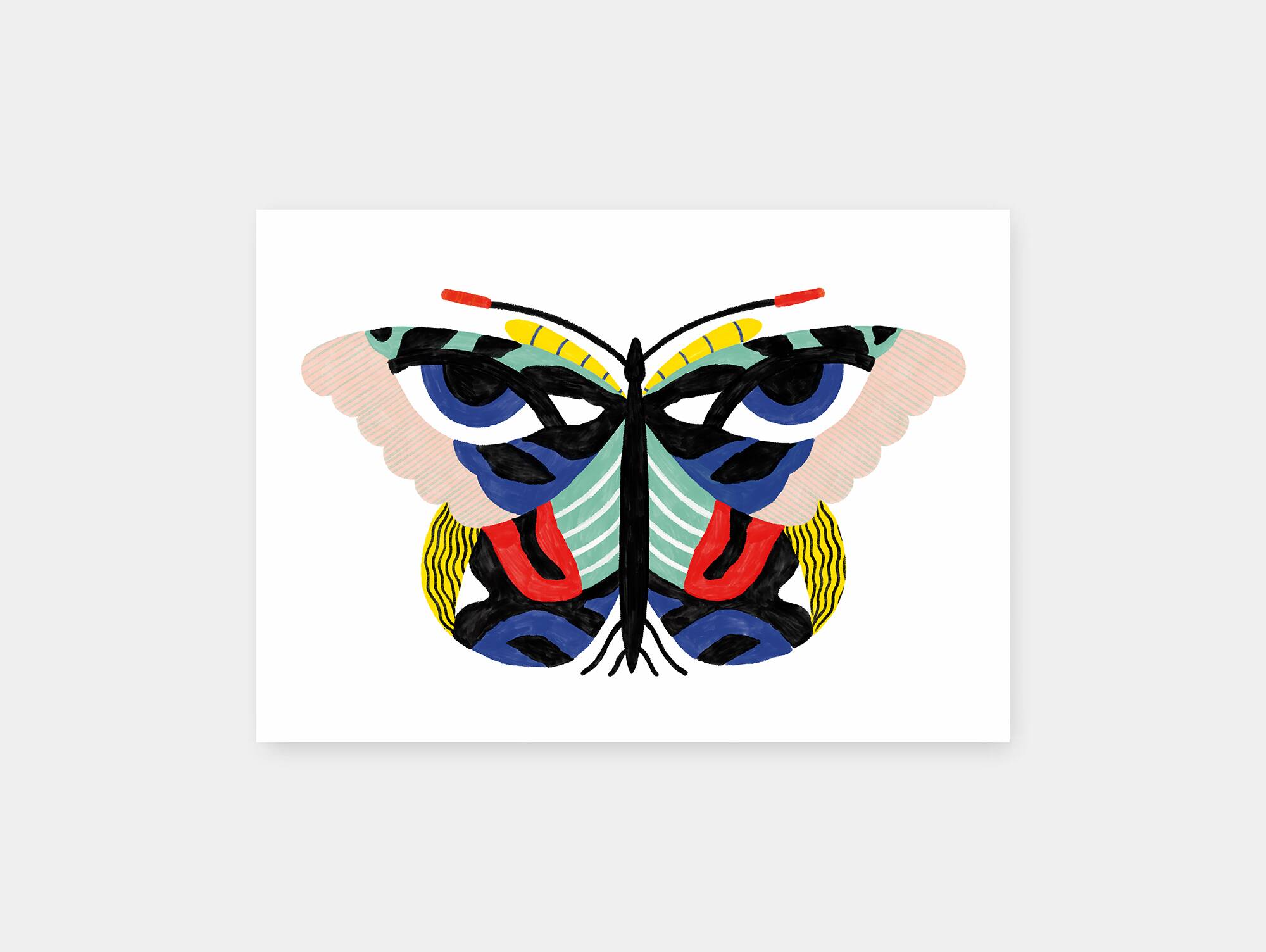 FLY - A4 illustration