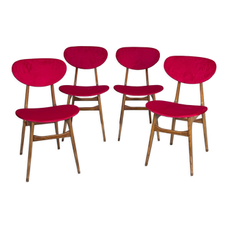 Set of four red velvet and wood dining chairs, Italy 1950