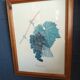 Botanical lithographs bunch of grapes