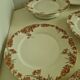 Lot of 11 Porcelain Dinner Plates Plus Presentation Dish Manufactured
