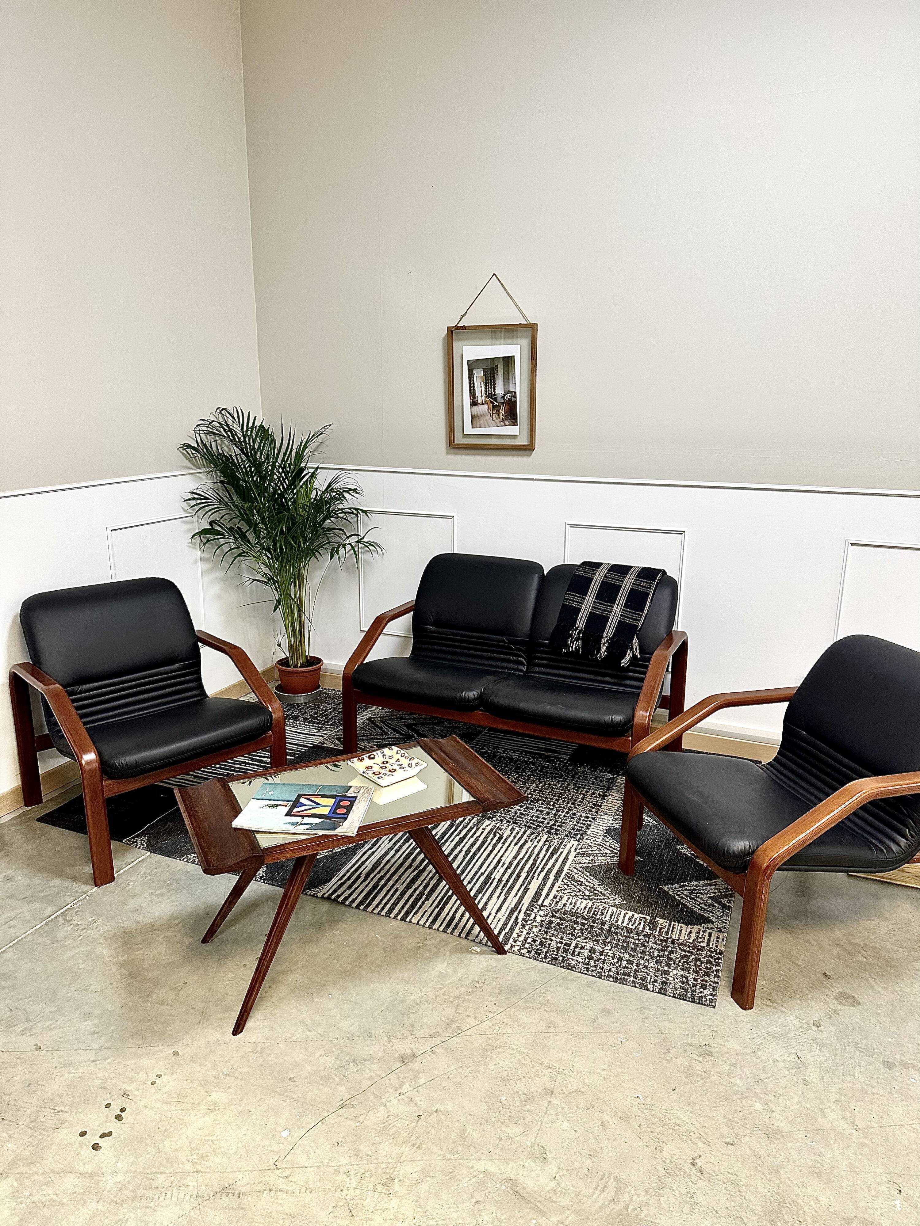 Design living room in black leather
