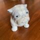 Chien en porcelaine Harvey Knox