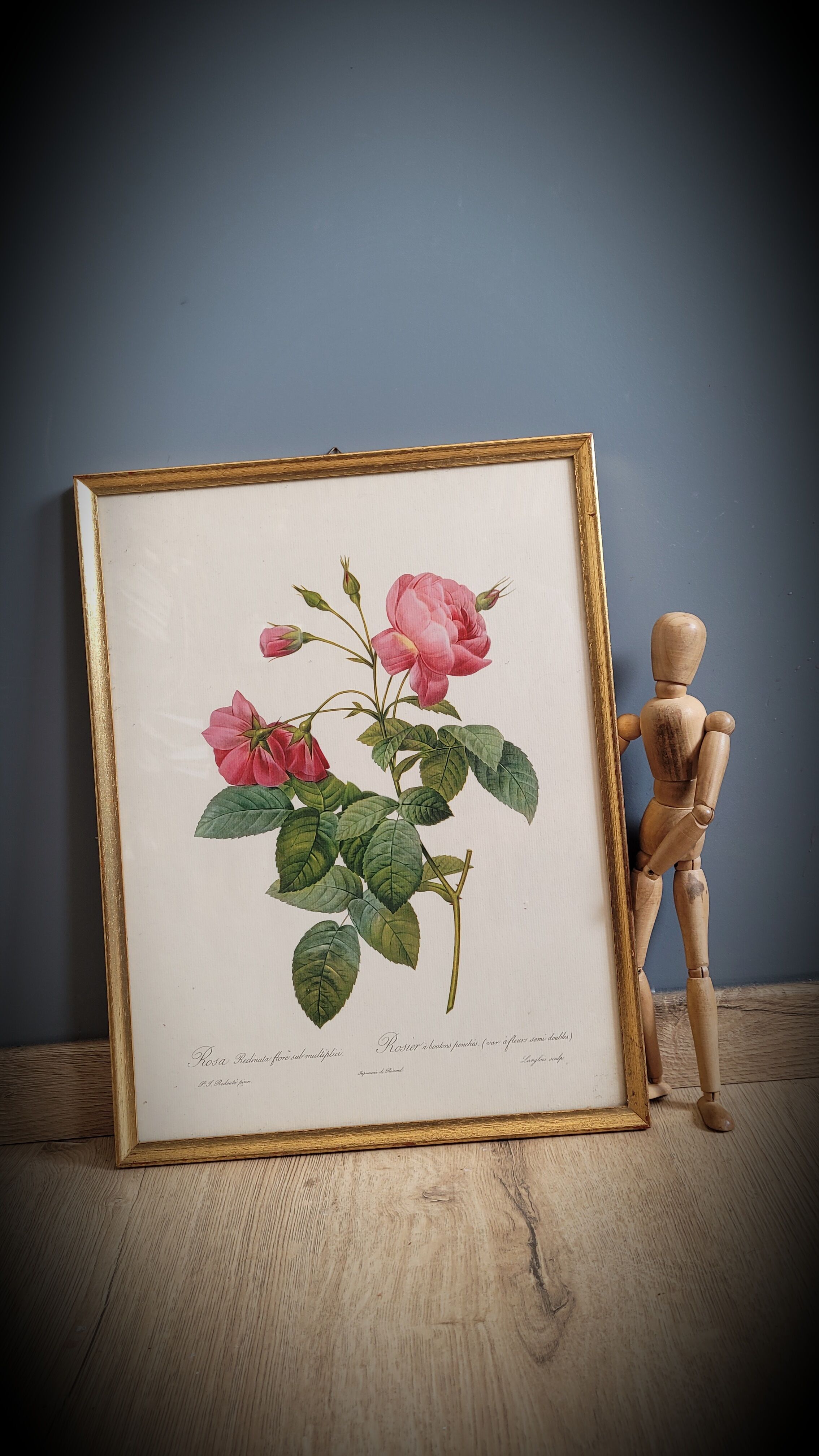 Litho rose leaning buds 30
