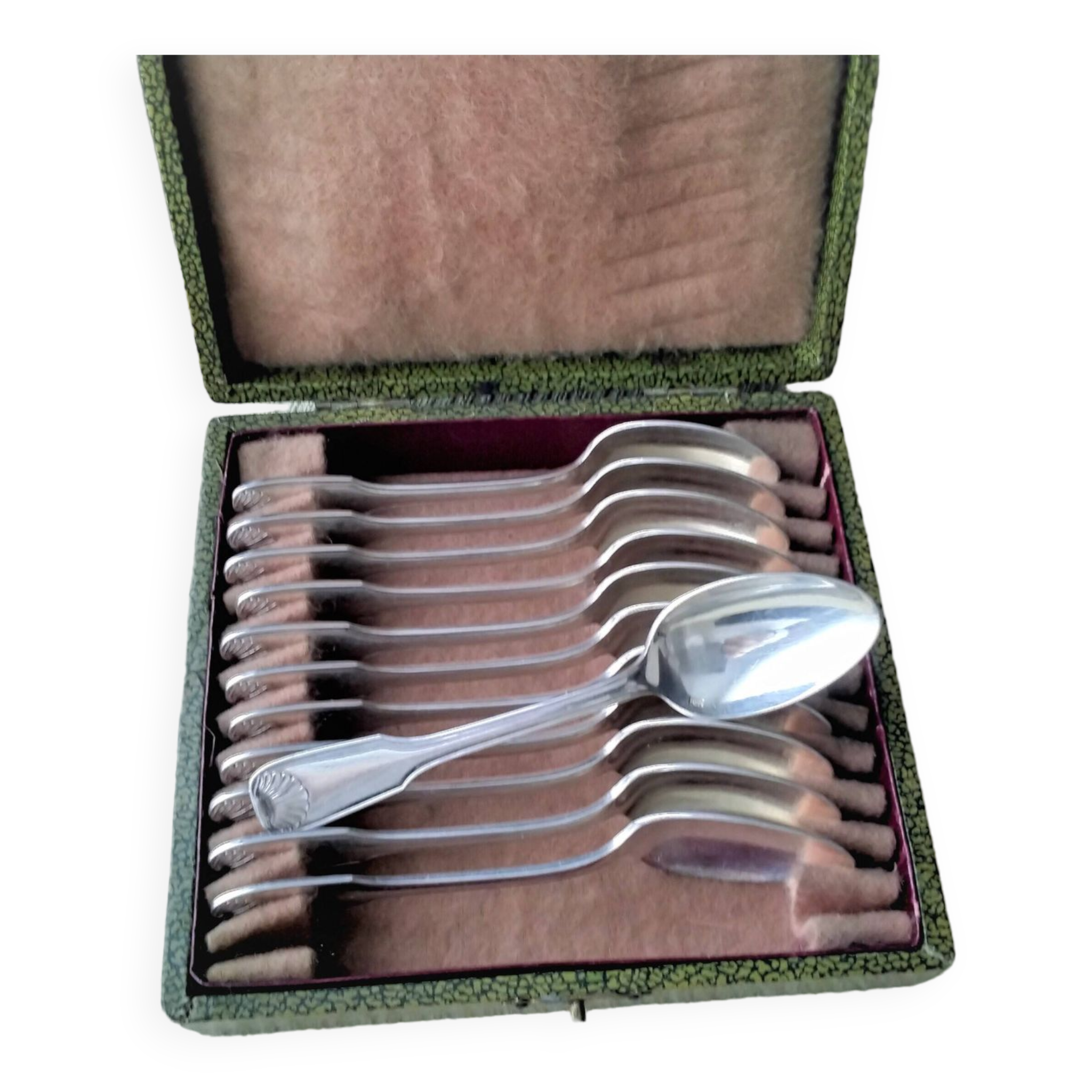 Box of 12 silver-plated mocha spoons Shell model