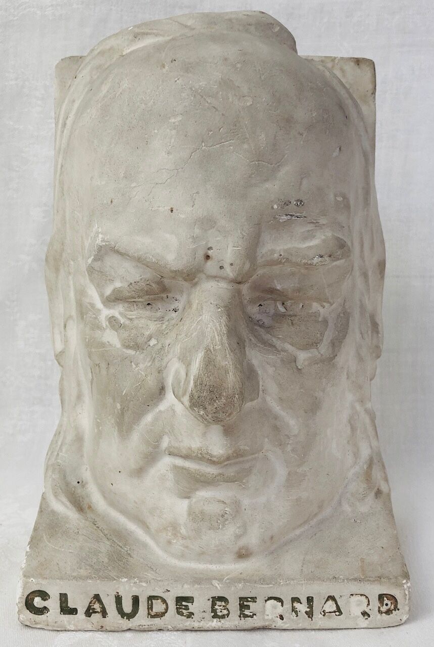 Vintage plaster head " Claude Bernard "