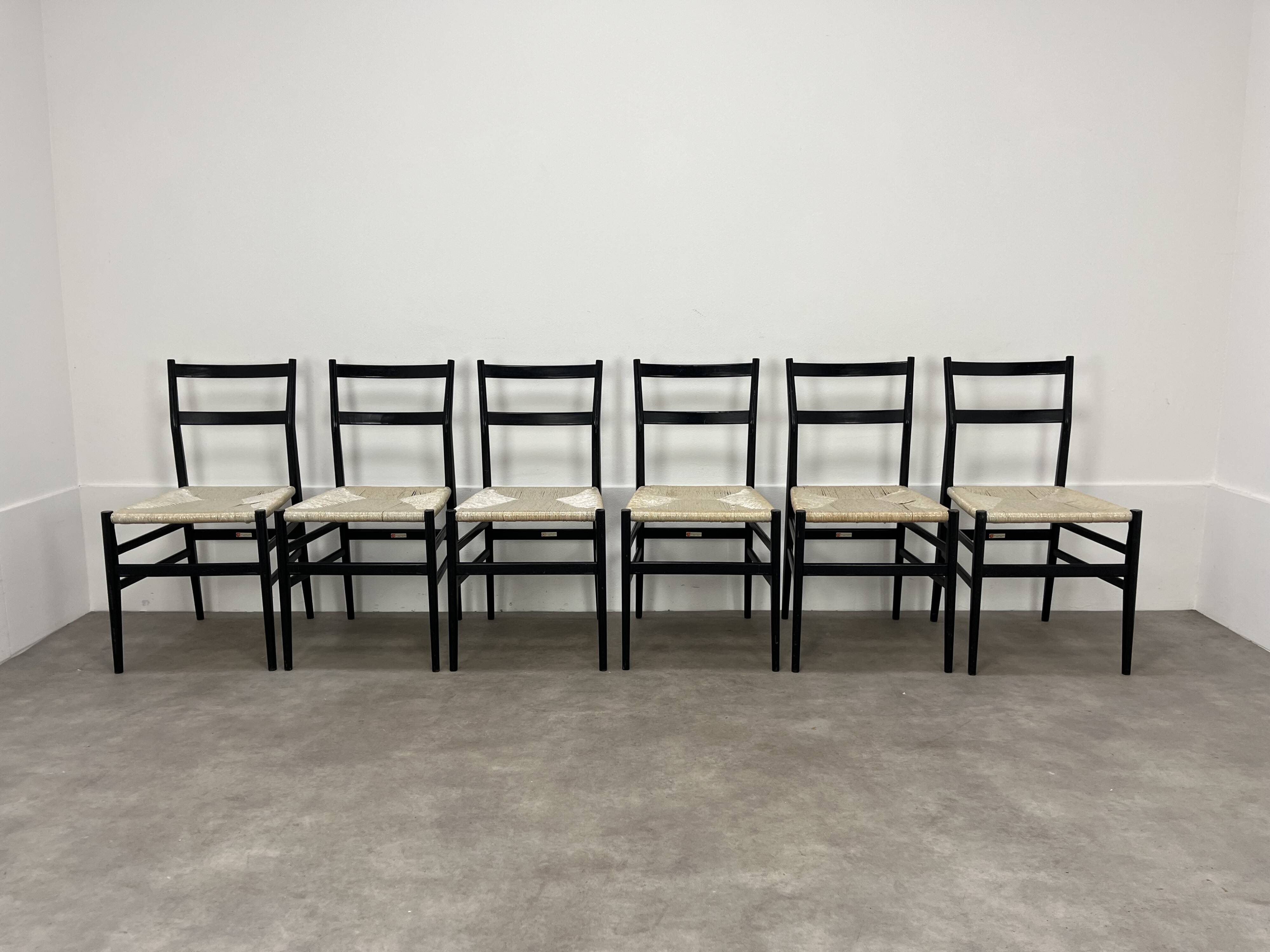 6 Leggera chairs by Gio Ponti for Cassina, Italy, first edition