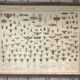 Bouasse-Lebel educational board at the end of the 19th Natural History Insects