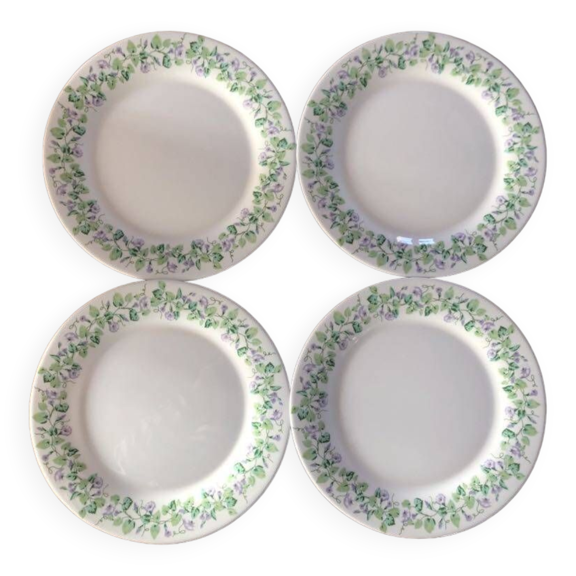 Lot de 4 assiettes plates fleurs violettes Martha Stewart everyday