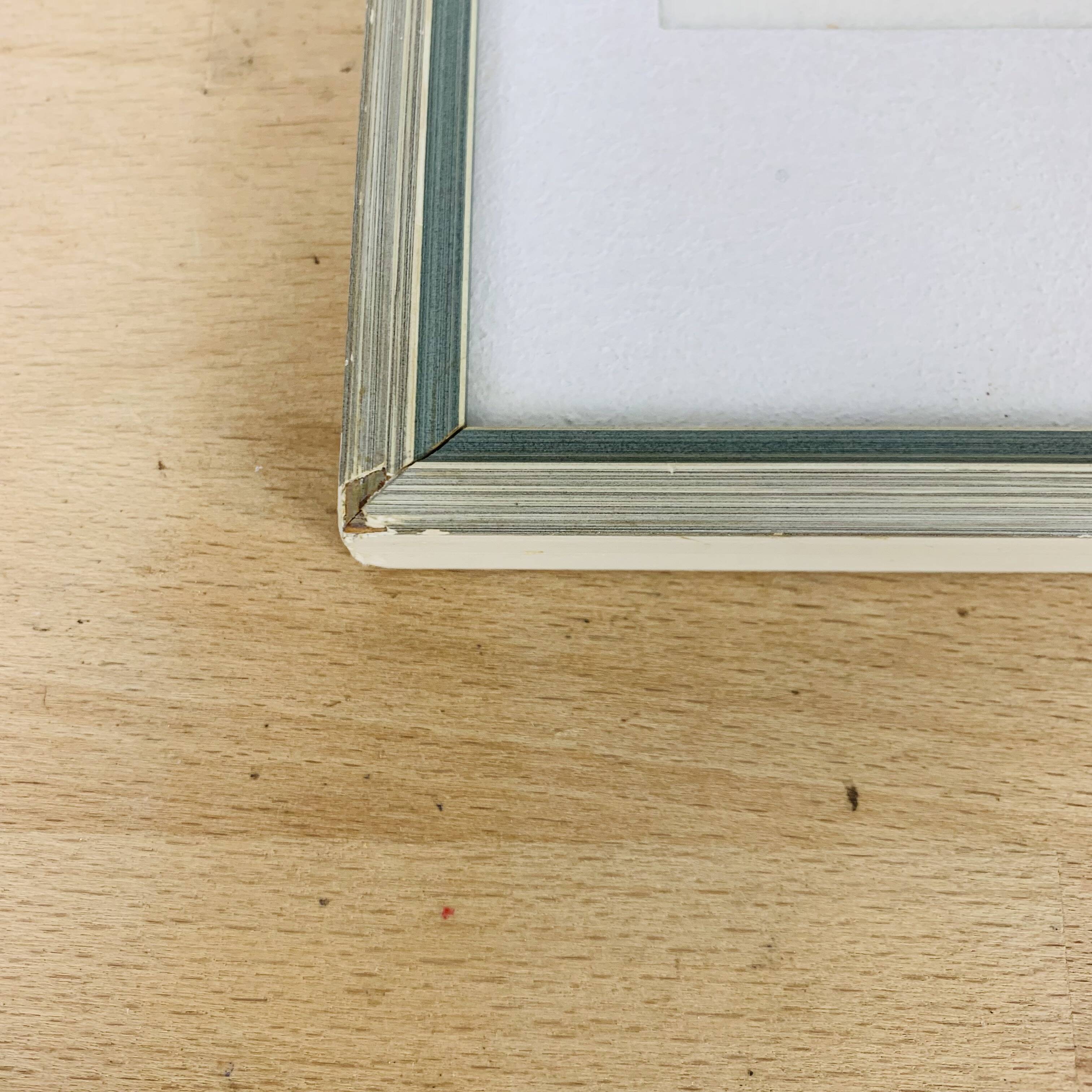 2 vintage naturalized butterfly frames