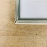 2 vintage naturalized butterfly frames