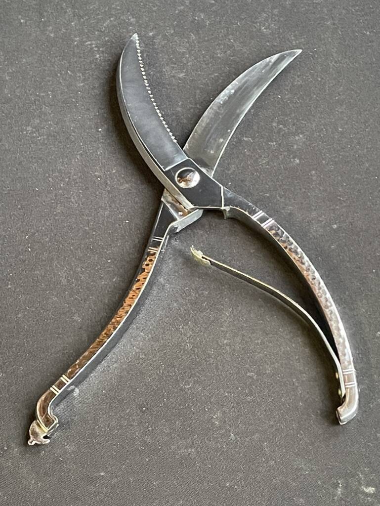 Poultry pruning shears – Hammered stainless steel - Germany