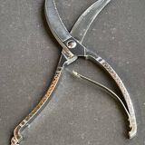 Poultry pruning shears – Hammered stainless steel - Germany