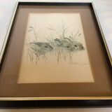 Large frame with rabbits in nature