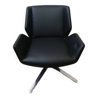 Ray tulip designer armchair