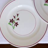 5 flat plates from Salins