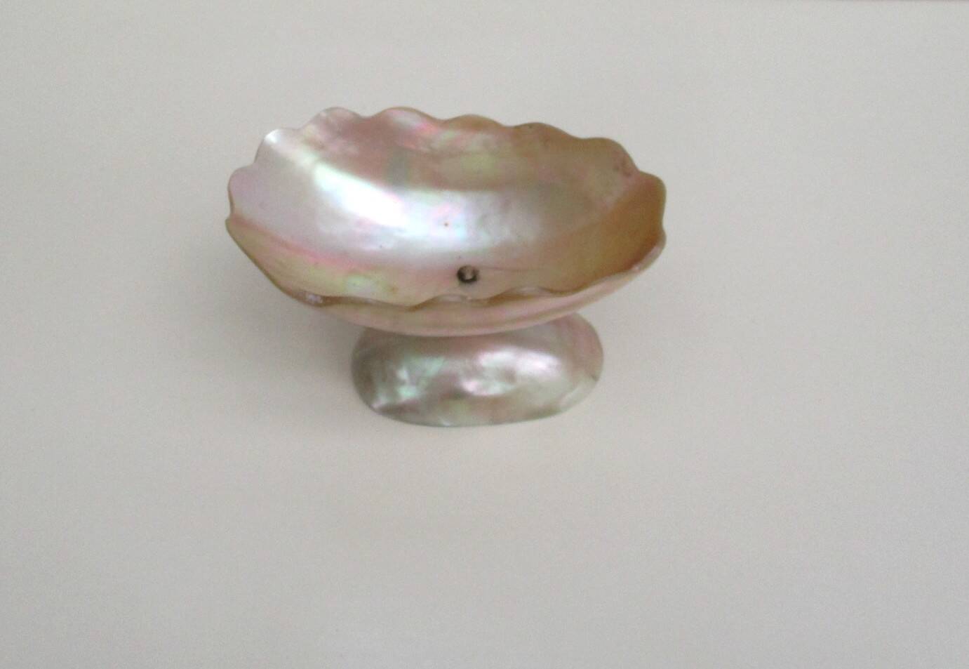 Antique ring sizer – Empty pocket – Mother-of-pearl, early 20th century