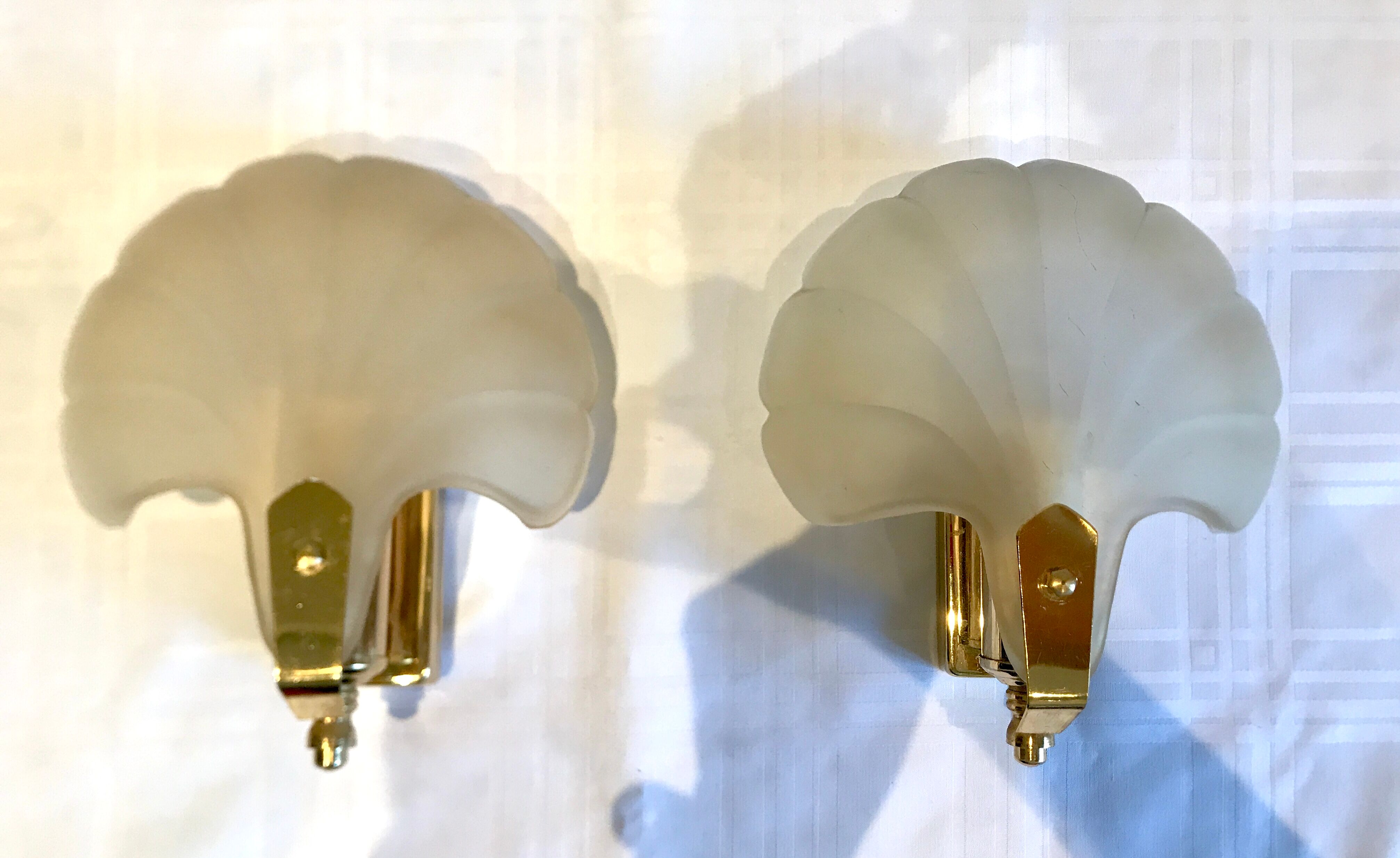 Pair of shell sconces