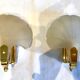 Pair of shell sconces
