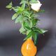 Vintage orange and green blown glass bottle, art glassware