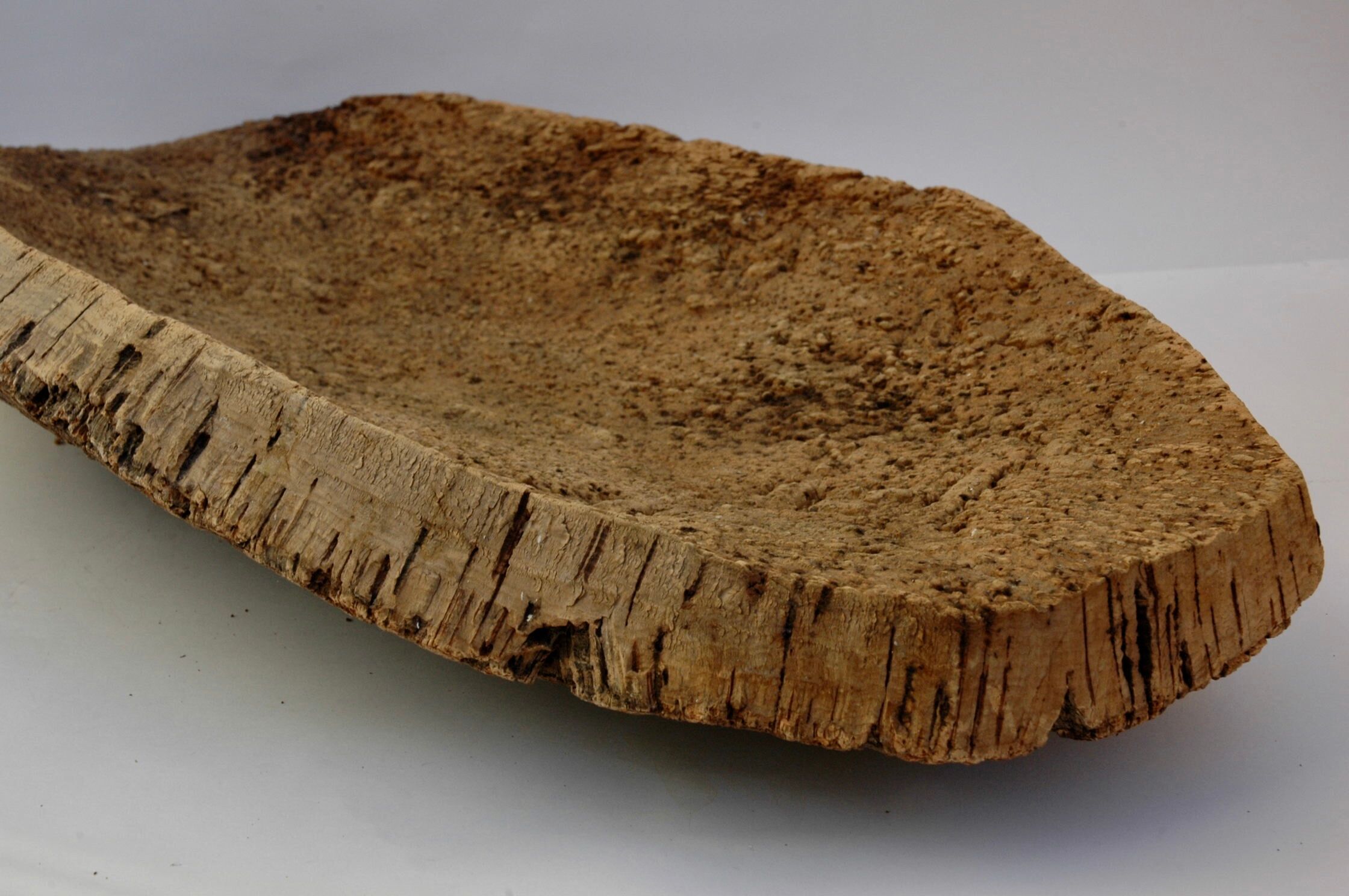 Fruit cut in bark 59x29cm
