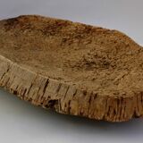 Fruit cut in bark 59x29cm