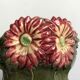 Paire de vases barbotine 1900
